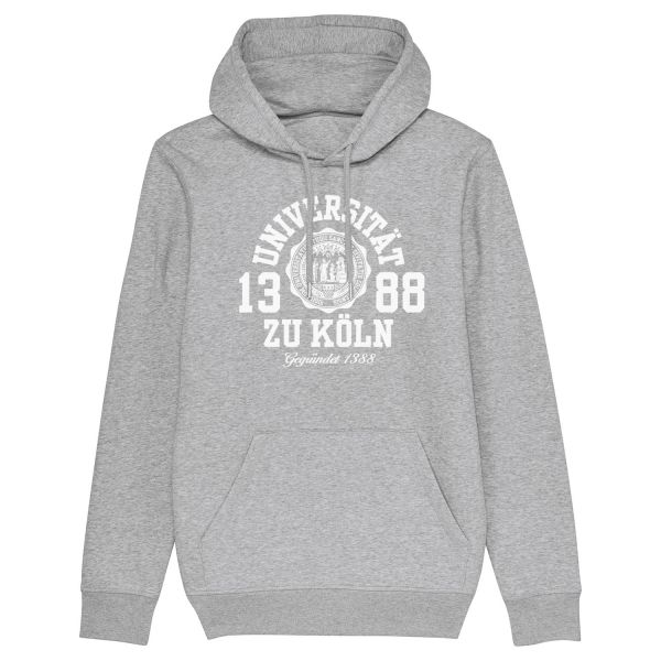 Unisex Hooded Sweatshirt, heather grey, marshall