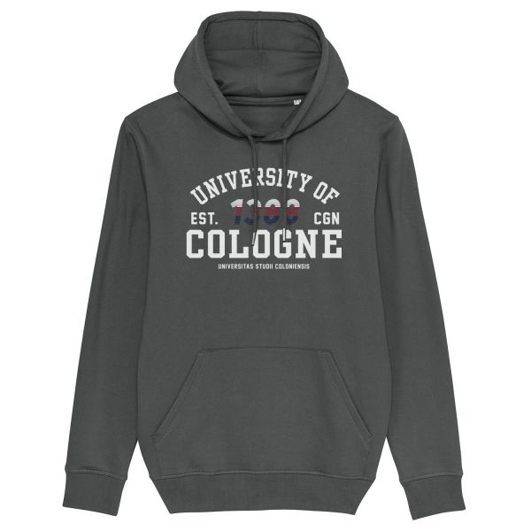 Unisex Hooded Sweatshirt, anthracite, newport